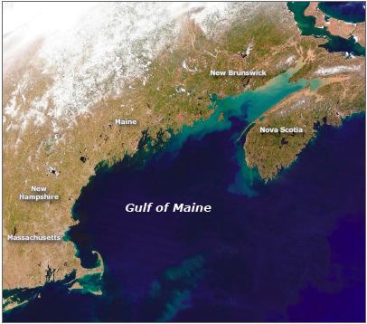 Gulf of Maine