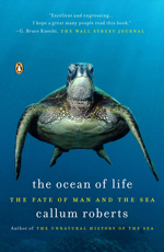Climate Change and the Ocean