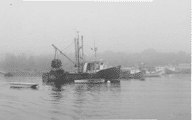 Fishing boats materialize in Rye Harbor, New Hampshire, as a morning fog lifts.