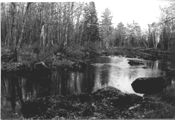 Image - SOme are concerned that a natural gas pipeline proposed by Maritimes and Northeast could affect the habitat of Atlantic salmon, which spawn in many of the Maine rivers the pipeline would have to cross, such as the Sheepscot (pictured).