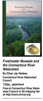 Freshwater mussels