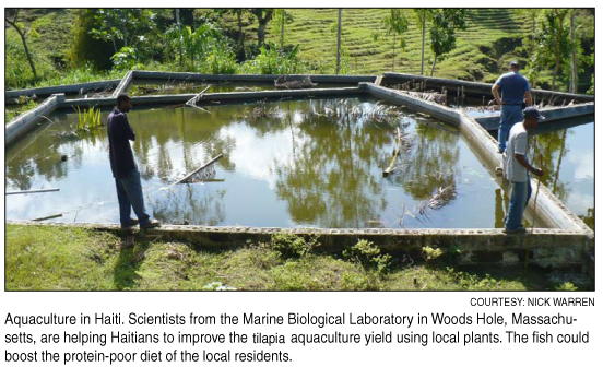 aquaculture in Haiti