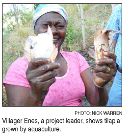 showing tilapia