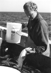 Image: Oceanographer Glenn Strout sorts the catch during the fourth leg of the Northeast Fisheries Science Center's spring groundfish survey. Scientists will use data gathered on numerous fish species sampled throughout the Gulf of Maine to assess the Gulf's fish stocks.