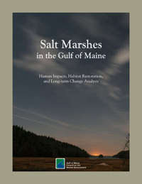 Salth Marshes in the Gulf of Maine