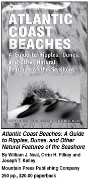 Atlantic Coast Beaches