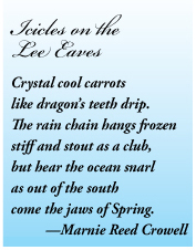 Icicles on the Lee Eaves poem