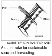 cutter rake