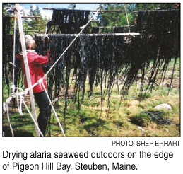 seaweed harvesting