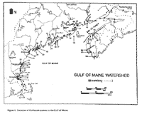 Locations of Gulfwatch stations in the Gulf of Maine - Click to enlarge.