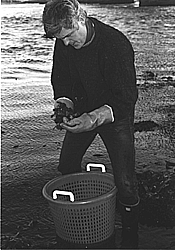 Steve Jones, Co-chair of the Council's Environmental Quality Monitoring Committee, collects blue mussel samples near POrtsmouth, New Hampshire, as part of the Council's Gulfwatch mussel monitoring program.