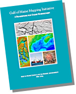 Strategic plan cover