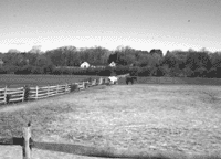 Well-managed pastures and paddocks keep pollution out of nearby streams and rivers by controlling runoff. Environmental agency staff say some small farm owners are not as aware of their property's impact on water quality as those whose farm is shown here.