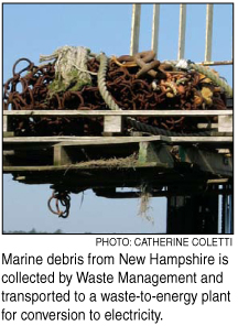 debris