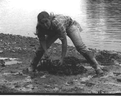 Image - Some environmentally-oriented vacations look a lot like work, nevertheless, their popularity continues to increase. Here, Earthwatch Institute volunteer Kimberley Knowlton collects clam samples in Boothbay Harbor, Maine.