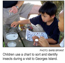 children identify insects