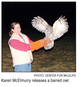 owl release