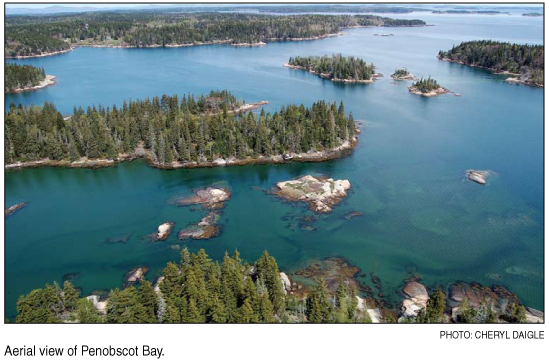 aerial view of Penobscot Bay