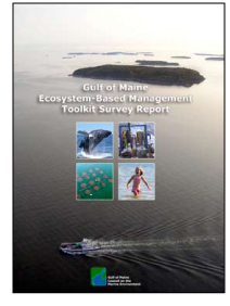 Toolkit Survey Report