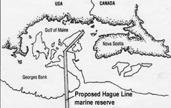 IMAGE: Hague Line