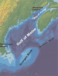 Map courtesy of R. Signell and E. Rowarth, U.S. Geological Survey