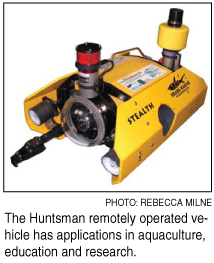 rov