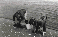 Photo of Bruce Smith and Ann Reid